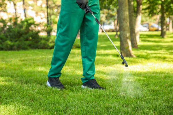 Mckinney Lawn Treatment
