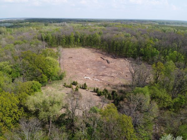 Mckinney Land Clearing