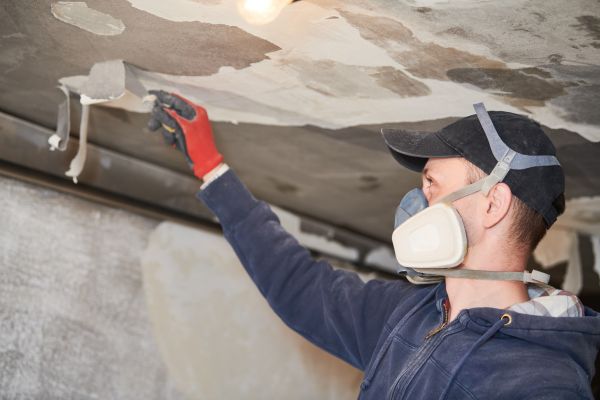 Mckinney Fire Restoration