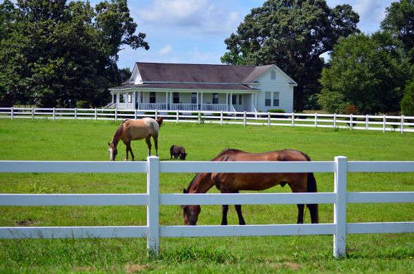 Mckinney Fence Service